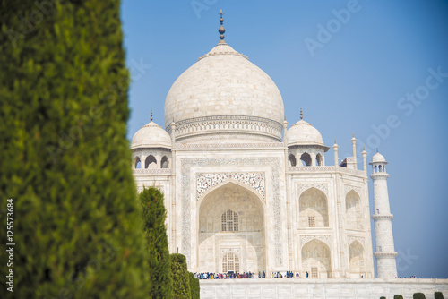 beauty of THE TAJ