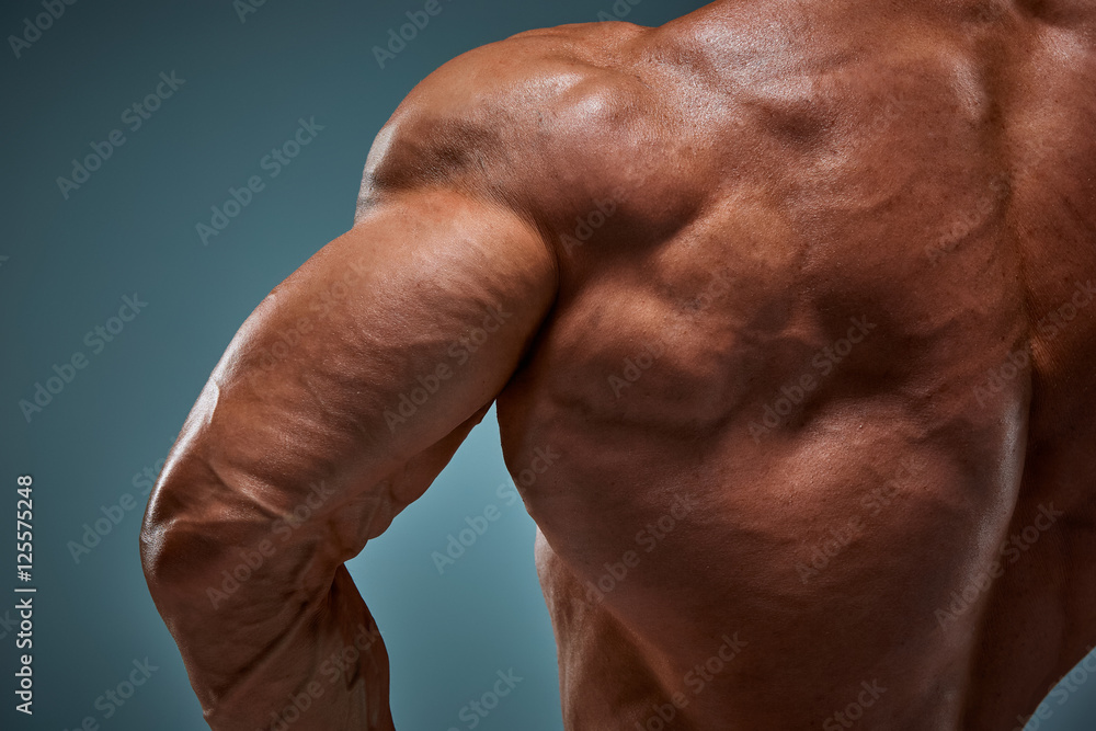 torso of attractive male body builder on gray background. torso of attractive male body builder on gray background.