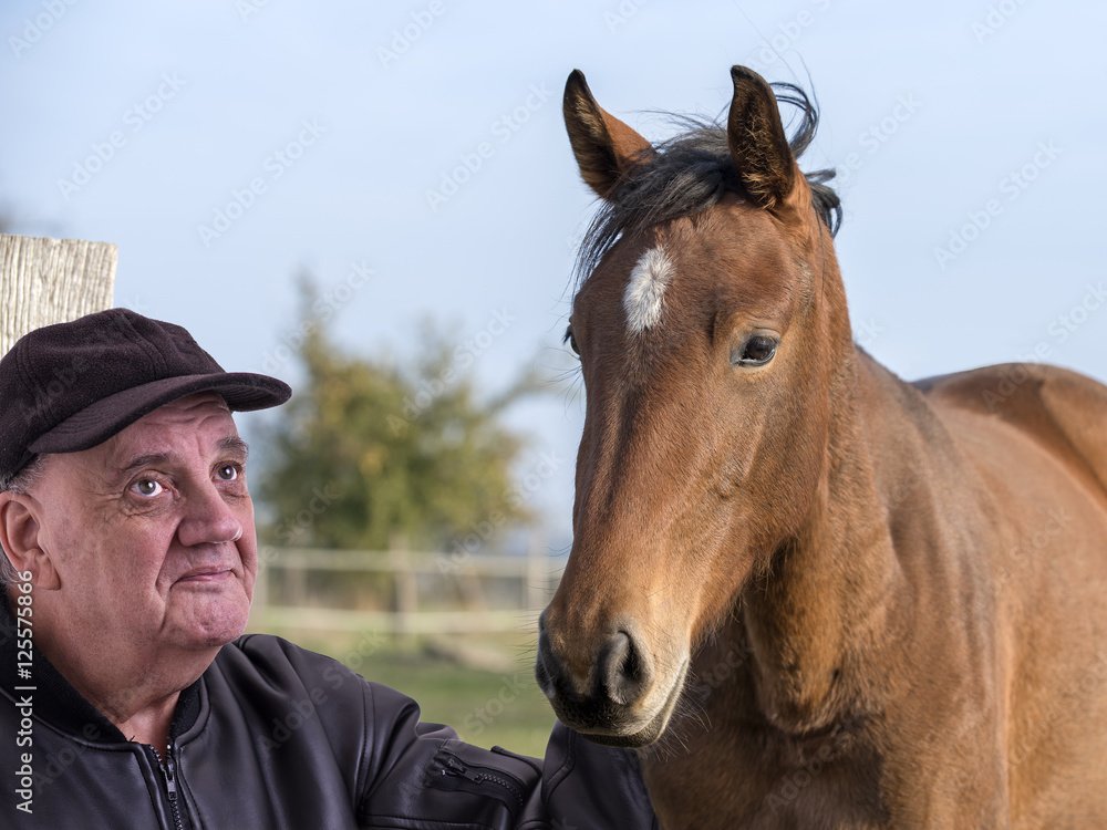 Obraz premium cheval avec homme âgé