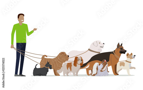 Professional Dog Walking Service Banner.