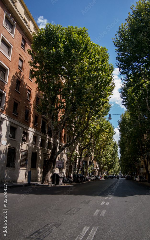 Street with trees in Rome