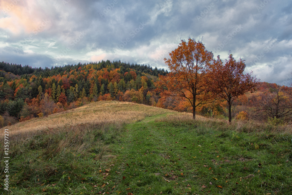 Autumn Landscape with Field Path and Cloudy Sky Autumn Landscape with Field Path and Cloudy Sky
