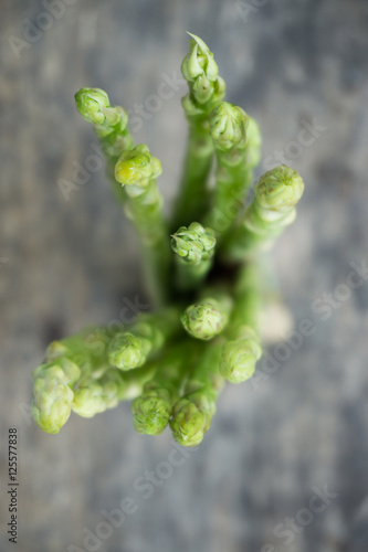green asparagus, blurred © black_J