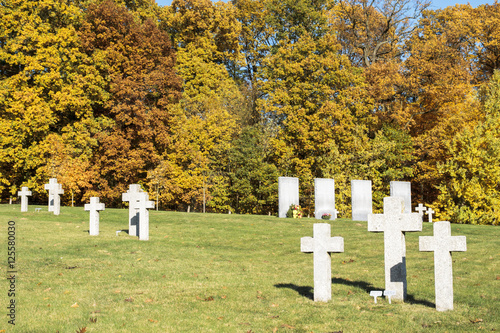 Soldiers of the German War Cemetery in Glinna, Poland photo