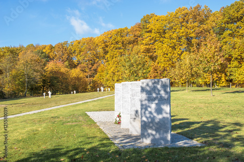 Soldiers of the German War Cemetery in Glinna, Poland photo