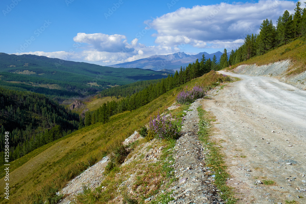 Mountain road in Ulagan Highlands to Katu-Yaryk pass in Altai Mountain road in Ulagan Highlands to Katu-Yaryk pass in Altai