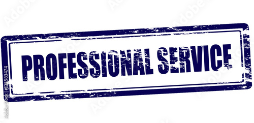 Professional service