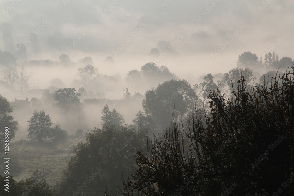 Obraz premium brumes automnales