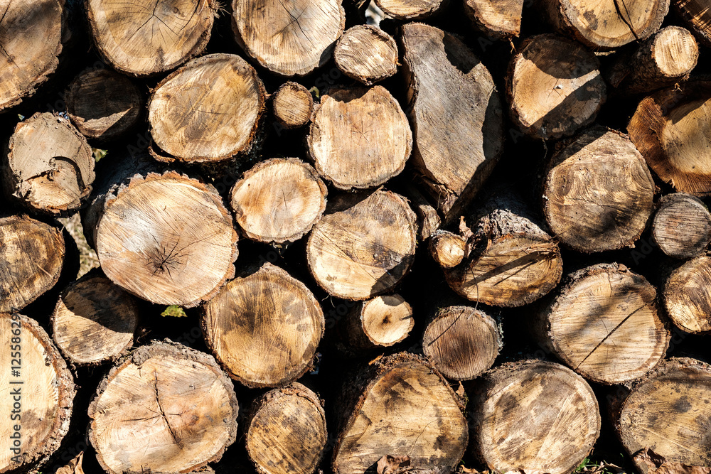 Pile of wood logs stumps for winter, Firewood Pile of wood logs stumps for winter, Firewood