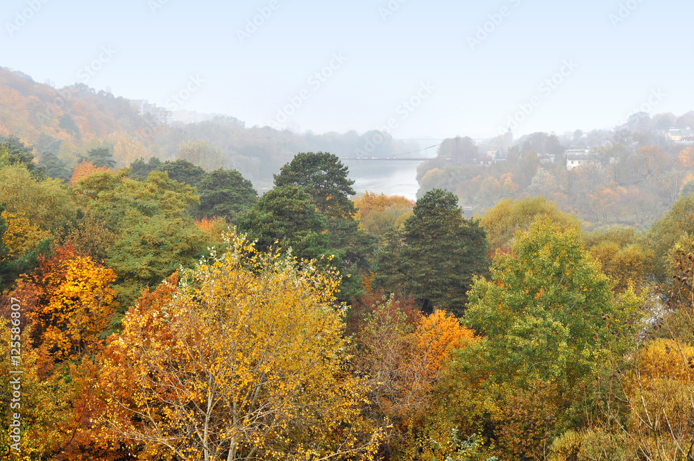 Panoramic view of autumn deciduous forest with red, yellow and green trees. Misty haze on the horizon.
