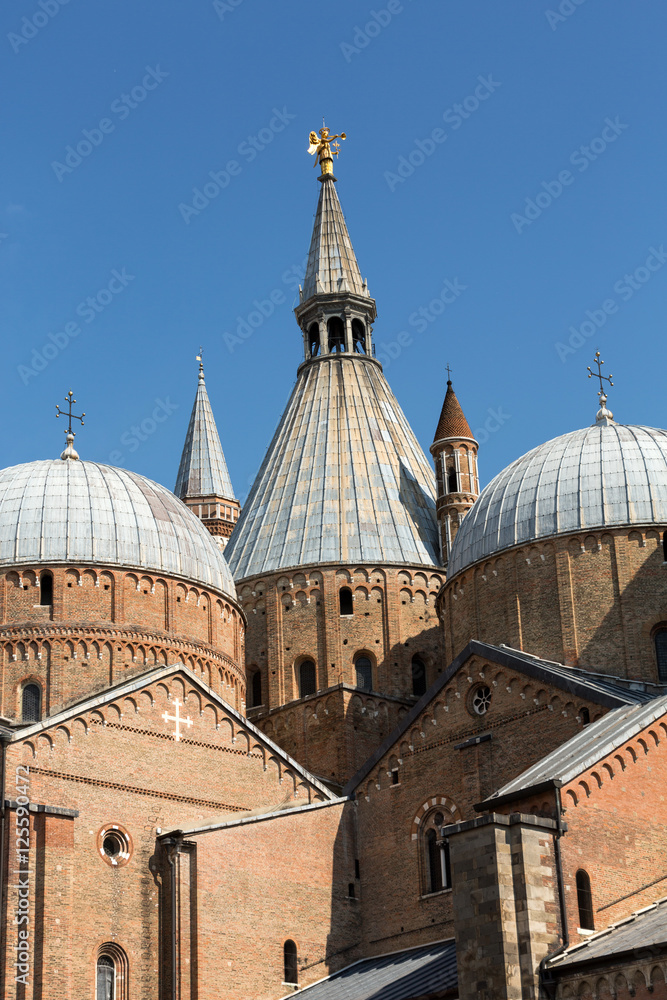  The Basilica of Saint Anthony of Padua. Italy