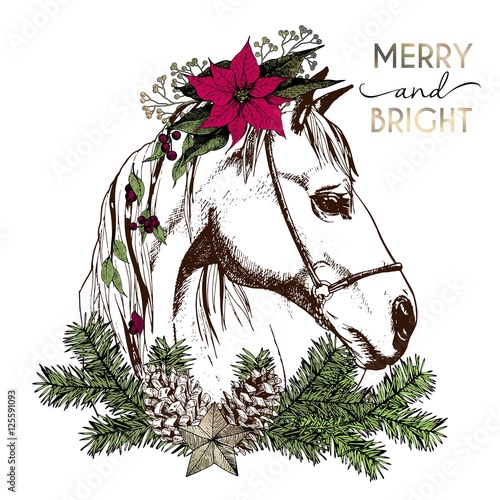 Vector portrait of boho Christmas horse. Decorated with winter floral wreath and fir branch, pinecone and star.