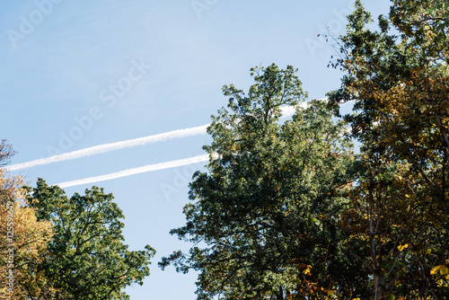 Contrails in the blue sky with trees