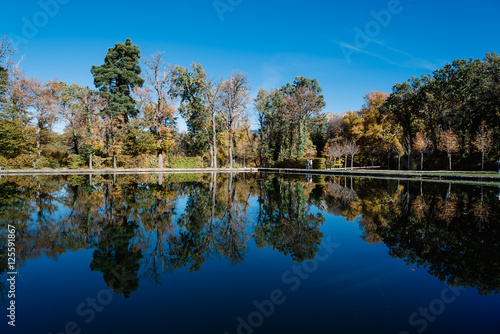 Fototapeta Naklejka Na Ścianę i Meble -  Tree reflections on pond a blue sky day