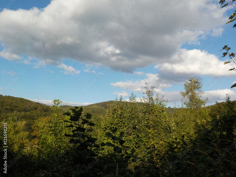 Wolkenhimmel Bäume Wolkenhimmel Bäume