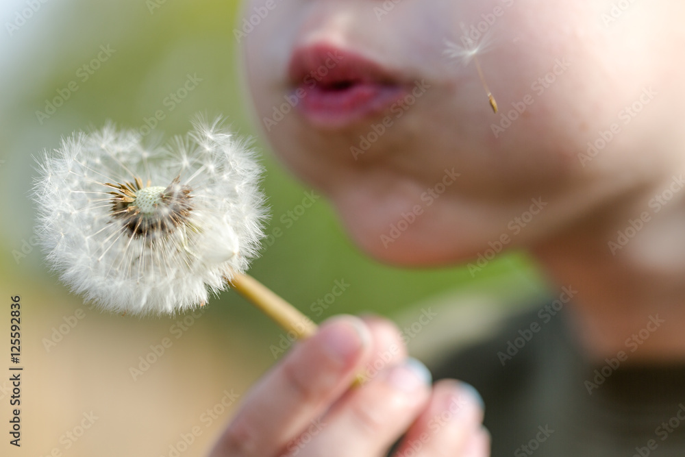 Blown dandelion Blown dandelion