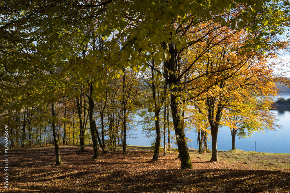 Fototapeta premium Herbst am Biggesee