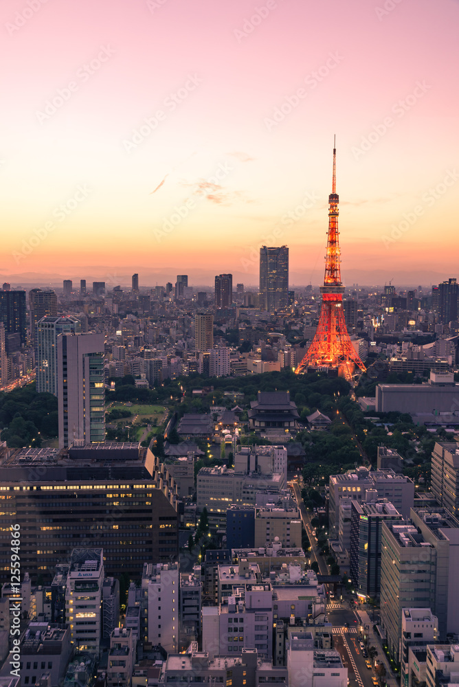 Obraz premium 東京タワーの夕景