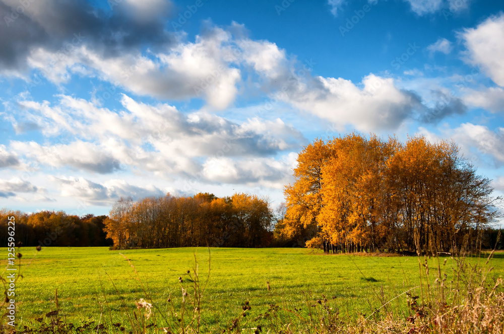 Beautiful autumn landscape in the countryside