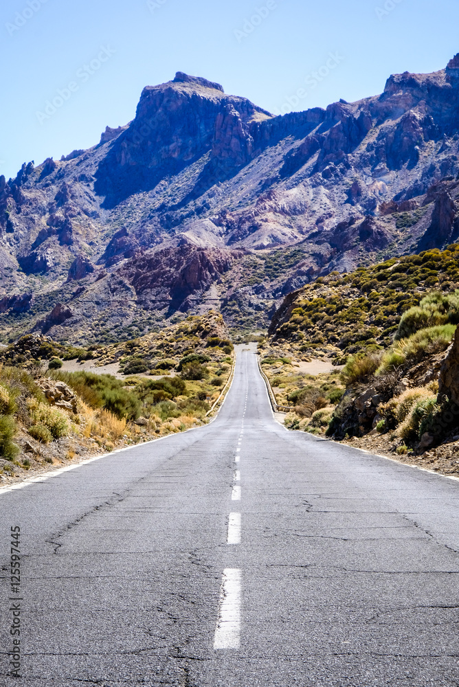 Naklejka premium country road