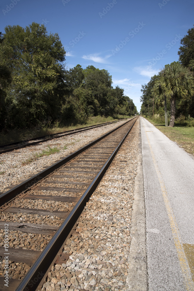 Fototapeta premium Florida USA - October 2016 - Railroad track passing through Florida countryside