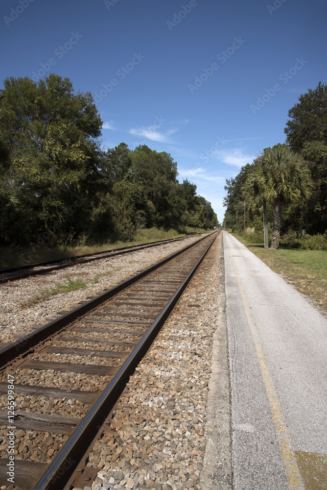 Florida USA - October 2016 - Railroad track passing through Florida countryside Florida USA - October 2016 - Railroad track passing through Florida countryside