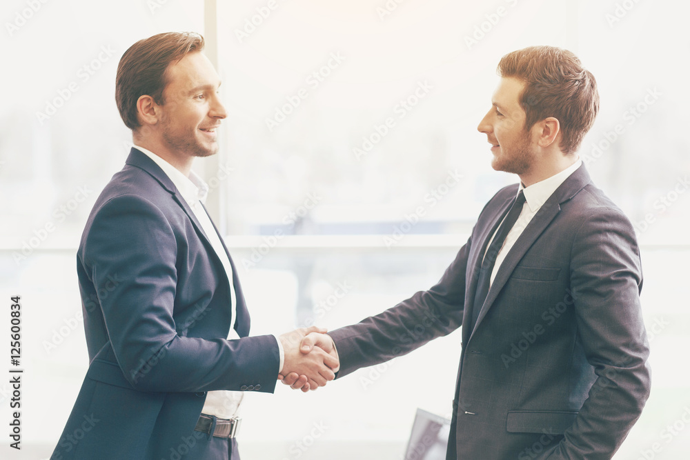 Two handsome colleagues shaking hands in an office.