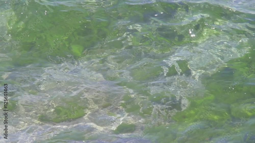 Crystal Clear Sea Water With Caustics Slow Motion Crystal Clear Sea Water With Caustics Slow Motion