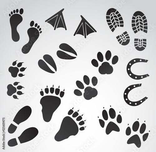 Human and animal footprints vector icon set.