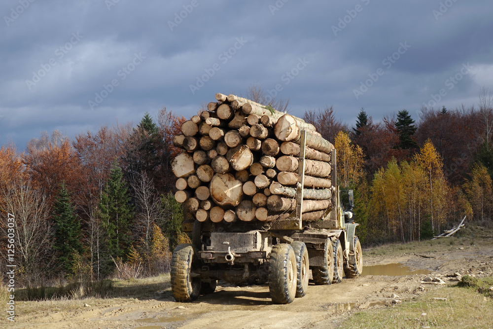 timber truck in the Carpathian mountains