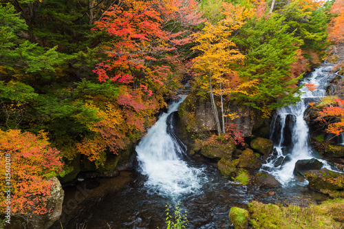 Autumn Colors and Ryuzu waterfall © themorningglory