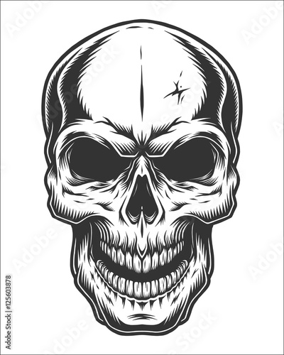 Monochrome illustration of skull. On white background