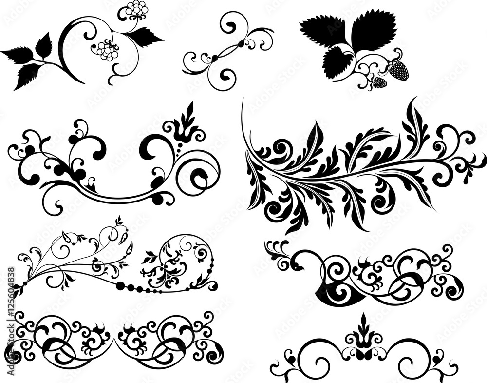 Fototapeta premium Scroll 