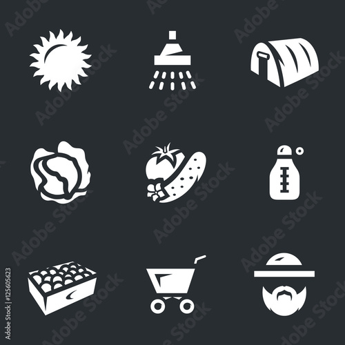 Vector Set of Olericulture.