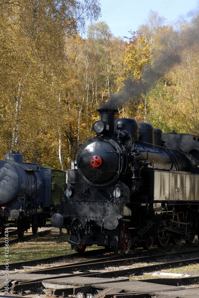 Naklejka premium Old Vintage Steam Locomotive At The Train Depot 