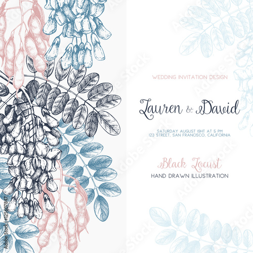 Wedding invitation template. Vintage greeting card with hand drawn Black Locust sketch. Vector frame with delicate Robinia flowers. Save the Date.