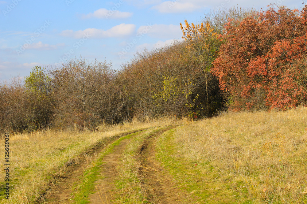 Dirty rural road in the forest on autumn Dirty rural road in the forest on autumn