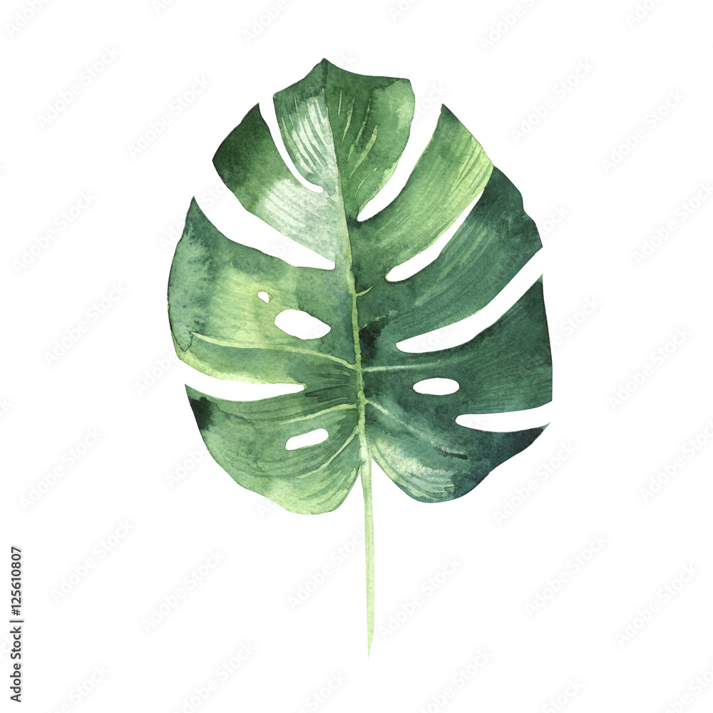 Tropical Hawaii leaves palm tree in a watercolor style isolated. - obrazy, fototapety, plakaty 