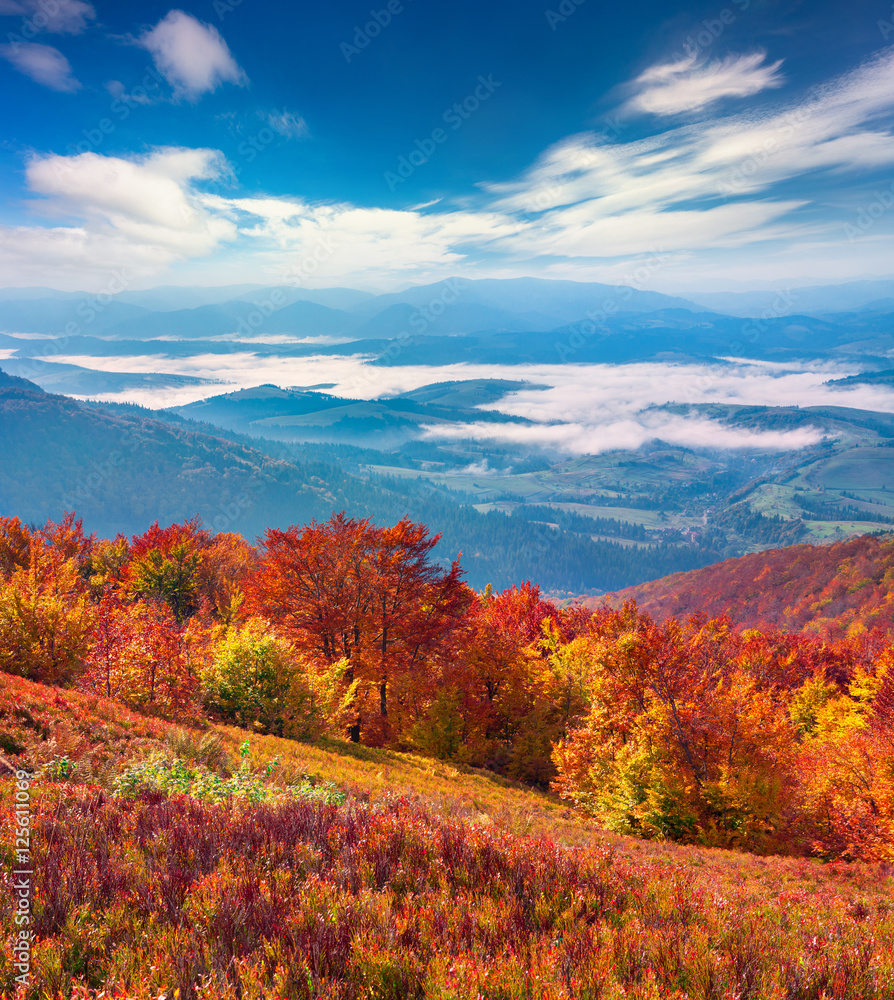 Fototapeta premium Colorful autumn landscape in the mountains.