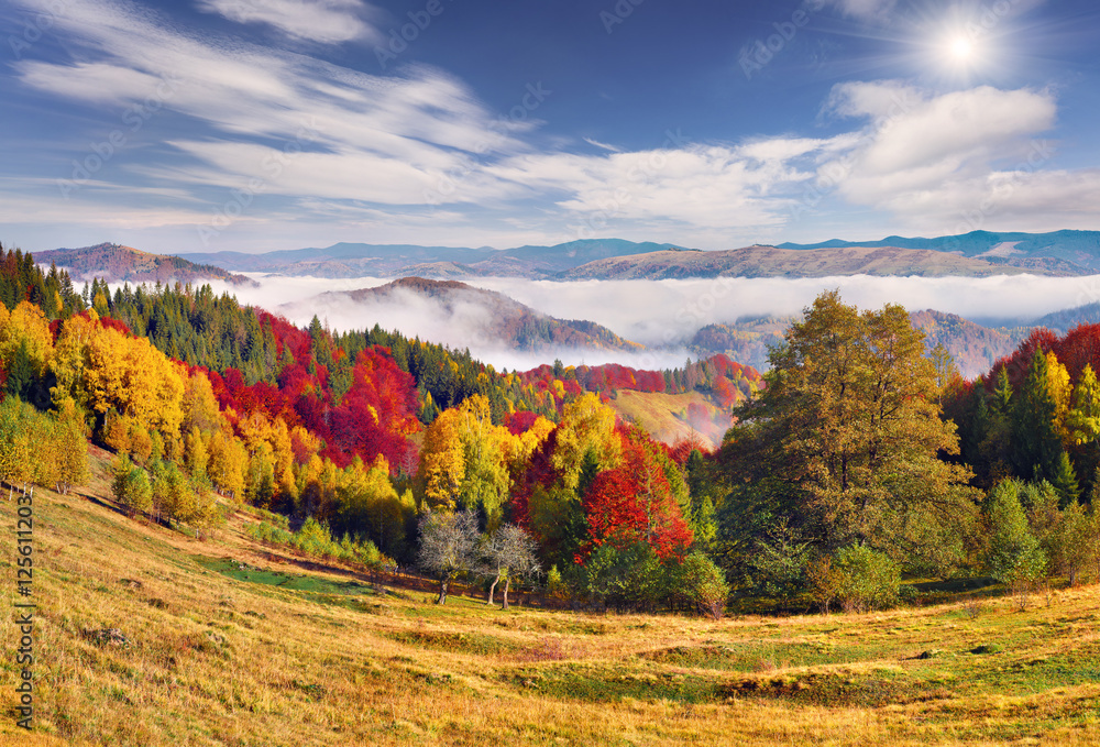 Foggy autumn landscape in Carpathian mountains. Foggy autumn landscape in Carpathian mountains.