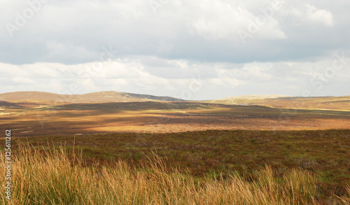 Moorland North Wales