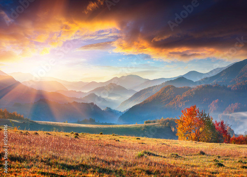 Dramatic autumn landscape in the mountains © Andrew Mayovskyy