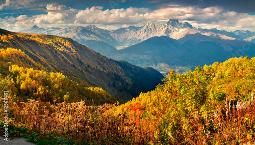 Colorful autumn landscape in the Caucasus mountains.