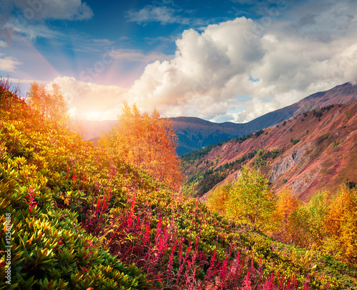 Fototapeta Naklejka Na Ścianę i Meble -  Colorful slopes of the Caucasus Mountains.