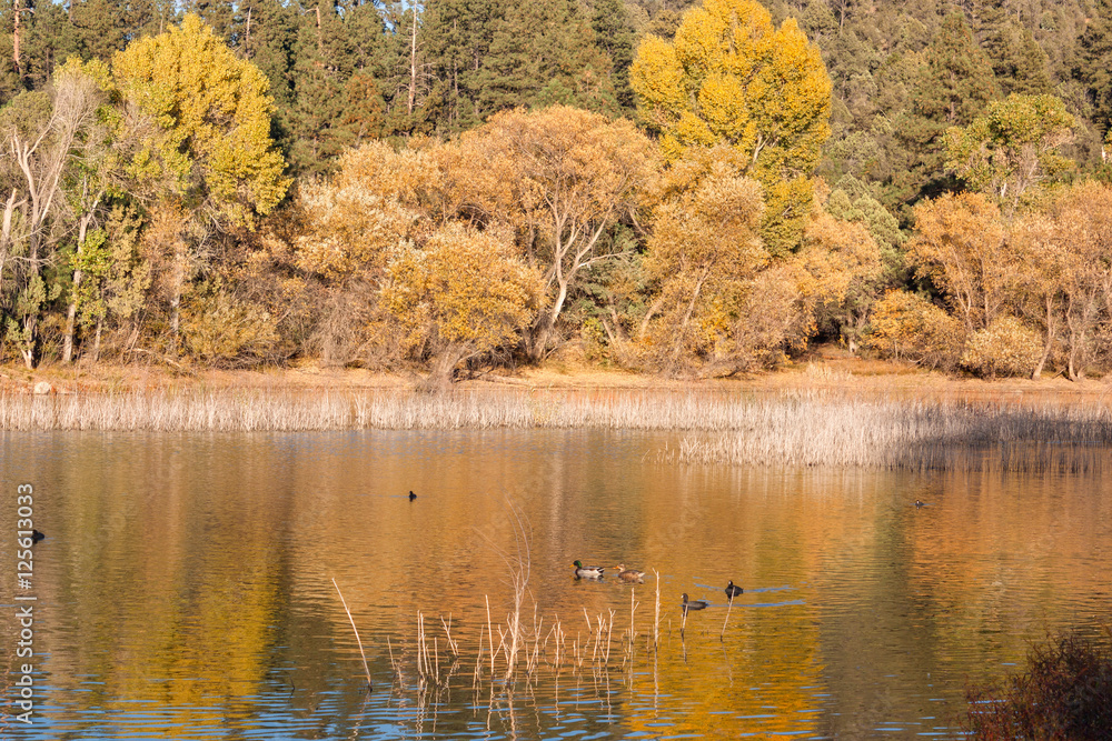 Scenic Mountain Lake in Fall