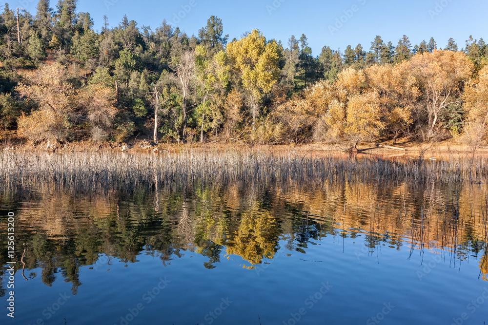 Scenic Mountain Lake in Fall