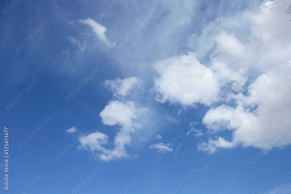 blue sky with big cloud and  raincloud 