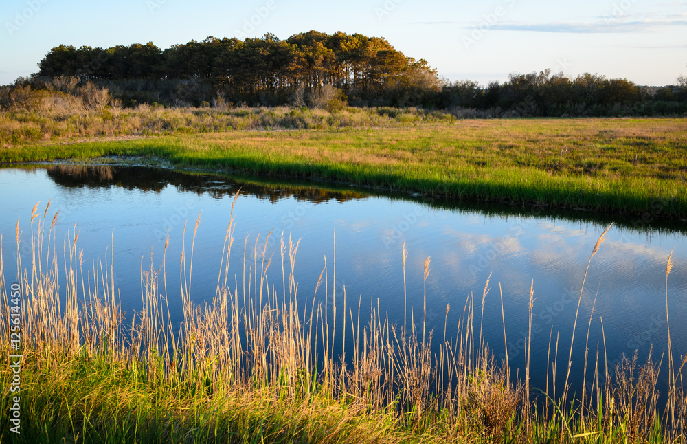 Assateague Island National Seashore Assateague Island National Seashore