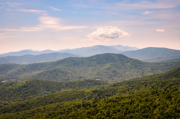 Fotobehang Natuurpark Shenandoah park in herfstkleuren  © Zack Frank