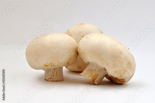 Champignon mushrooms closeup isolated